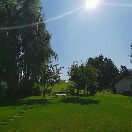 Mit Ausblick Im Allgaeu Mit 2 Schlafzimmern Appartement